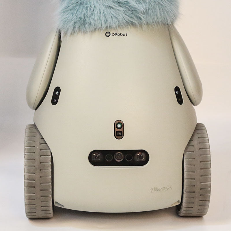 Ollobot-AI Robot-AI-Enhanced Learning