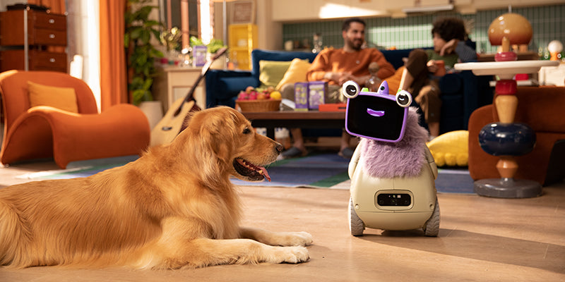 Ollobot